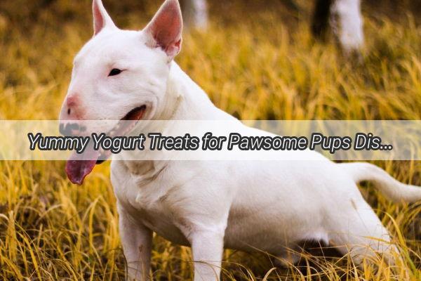 Yummy Yogurt Treats for Pawsome Pups Discover the Best Yogurt Choices for Your Furry Friend